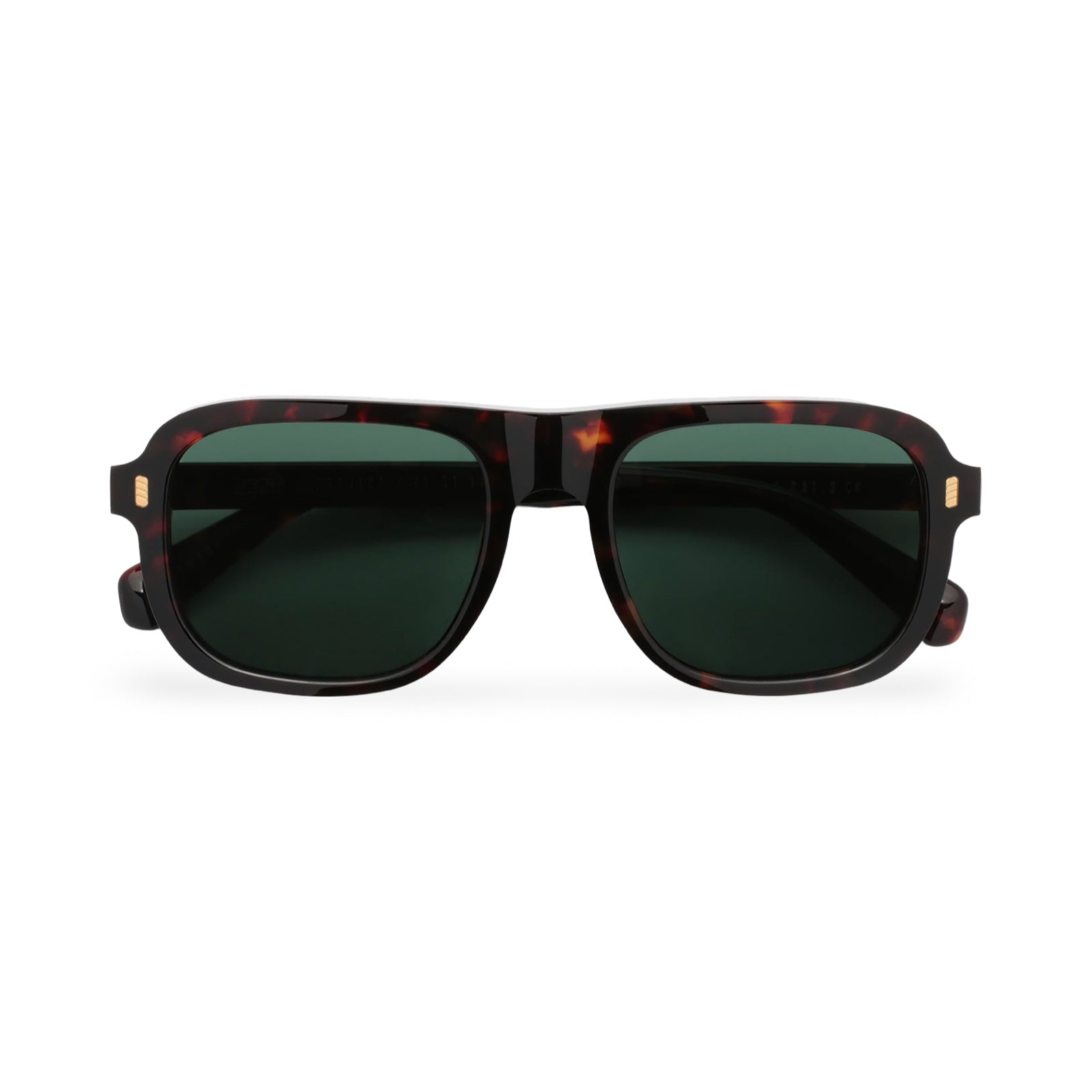 Occhiali Gast Syntra vista frontale classic havana