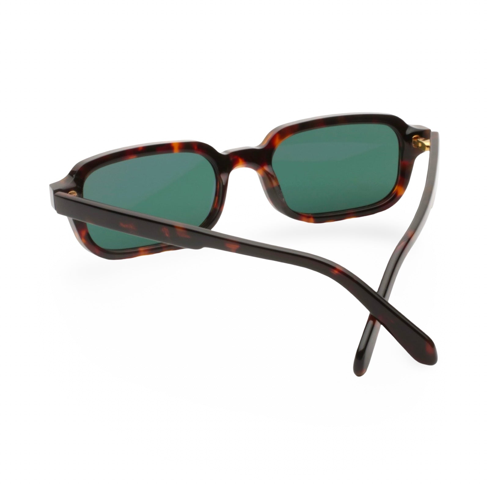 Dettaglio asta occhiali Gast VOCE classic havana